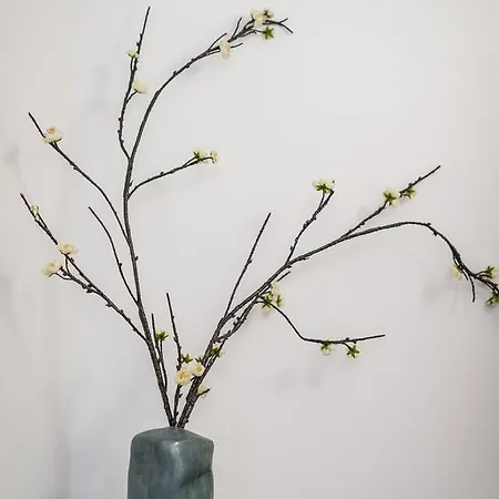 Apartman Bosacka Wawelofts *