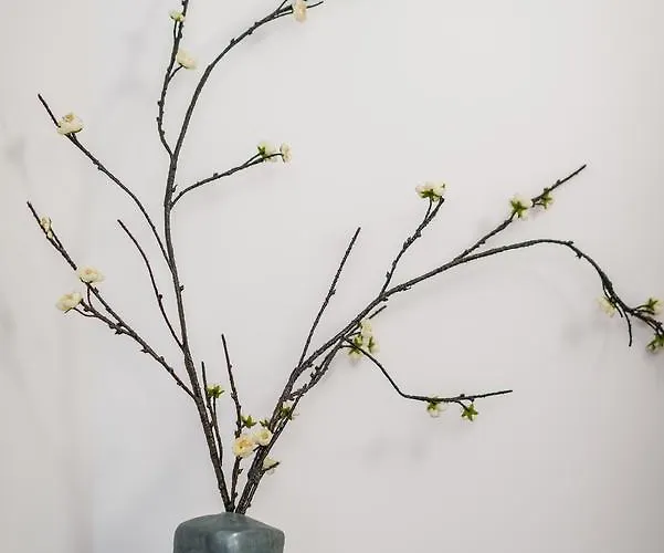 Апартаменты Bosacka Wawelofts *