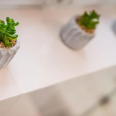 Bosacka Wawelofts Kraków