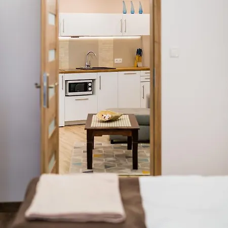 Apartman Bosacka Wawelofts *