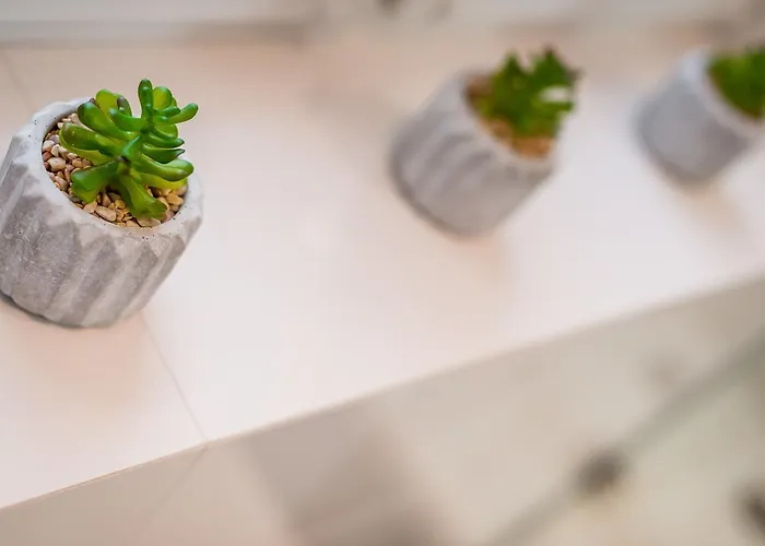 Bosacka Wawelofts Cracovia